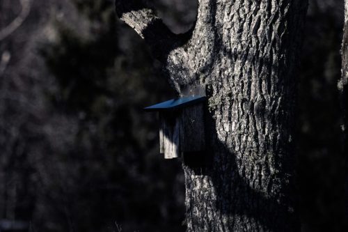 IMG 7465