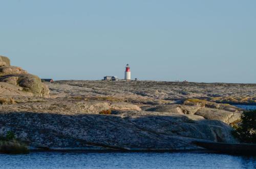 DSC5585