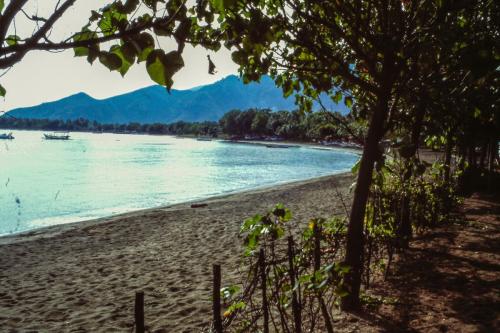 PICT0071