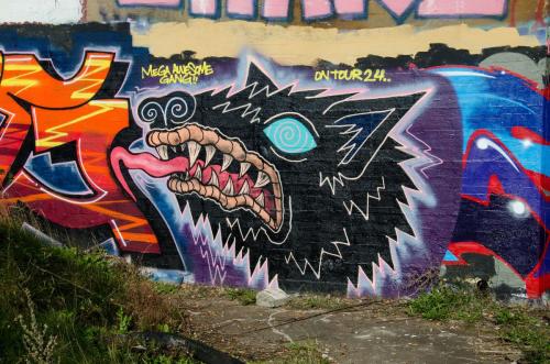 DSC 7170