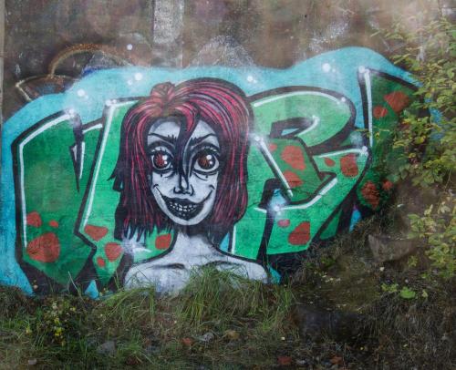 DSC 7185